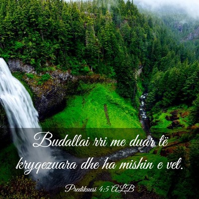 Picture 03 - Predikuesi 4:5 ALB - Budallai rri me duar të kryqezuara dhe ha mishin - Bible Verse Picture