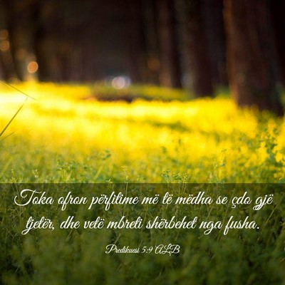 Picture 03 - Predikuesi 5:9 ALB - Toka ofron përfitime më të mëdha se çdo gjë - Bible Verse Picture