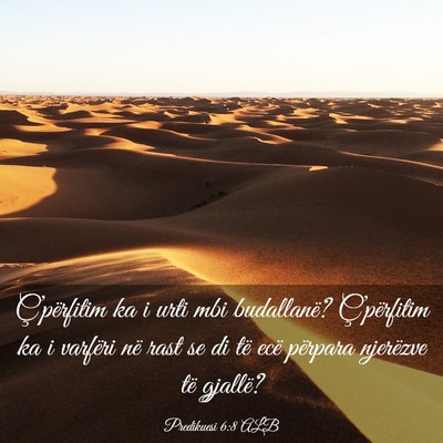 Picture 03 - Predikuesi 6:8 ALB - Ç’përfitim ka i urti mbi budallanë? - Bible Verse Picture