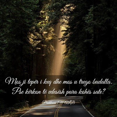 Picture 03 - Predikuesi 7:17 ALB - Mos ji tepër i keq dhe mos u trego budalla. Pse - Bible Verse Picture