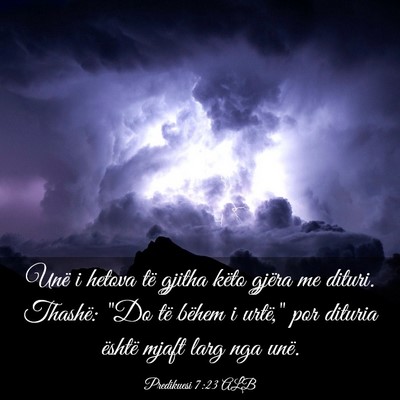 Picture 03 - Predikuesi 7:23 ALB - Unë i hetova të gjitha këto gjëra me dituri. - Bible Verse Picture