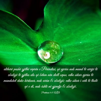 Picture 03 - Predikuesi 8:17 ALB - atëherë pashë gjithë veprën e Perëndisë, - Bible Verse Picture