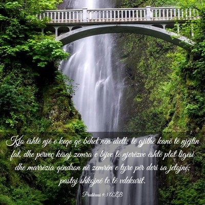 Picture 03 - Predikuesi 9:3 ALB - Kjo është një e keqe që bëhet nën diell; - Bible Verse Picture
