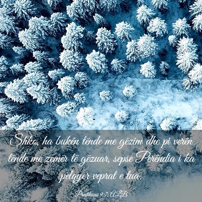 Picture 03 - Predikuesi 9:7 ALB - Shko, ha bukën tënde me gëzim dhe pi verën - Bible Verse Picture