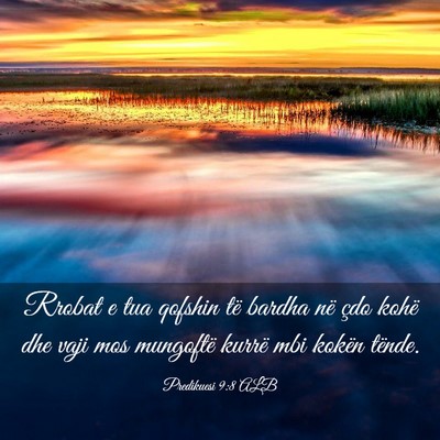 Picture 03 - Predikuesi 9:8 ALB - Rrobat e tua qofshin të bardha në çdo kohë - Bible Verse Picture