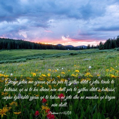 Picture 03 - Predikuesi 9:9 ALB - Gëzoje jetën me gruan që do për të gjitha - Bible Verse Picture