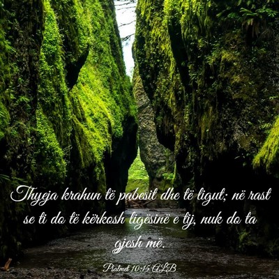 Picture 03 - Psalmet 10:15 ALB - Thyeja krahun të pabesit dhe të ligut; në rast - Bible Verse Picture