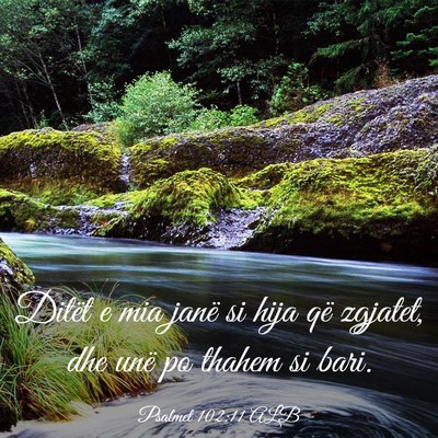 Picture 03 - Psalmet 102:11 ALB - Ditët e mia janë si hija që zgjatet, dhe unë - Bible Verse Picture
