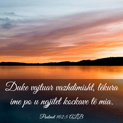 Picture 03 - Psalmet 102:5 ALB - Duke vajtuar vazhdimisht, lëkura ime po u - Bible Verse Picture