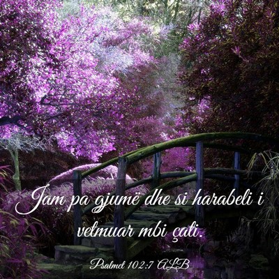 Picture 03 - Psalmet 102:7 ALB - Jam pa gjumë dhe si harabeli i vetmuar mbi - Bible Verse Picture