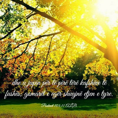 Picture 03 - Psalmet 104:11 ALB - dhe u japin për të pirë tërë kafshëve të - Bible Verse Picture