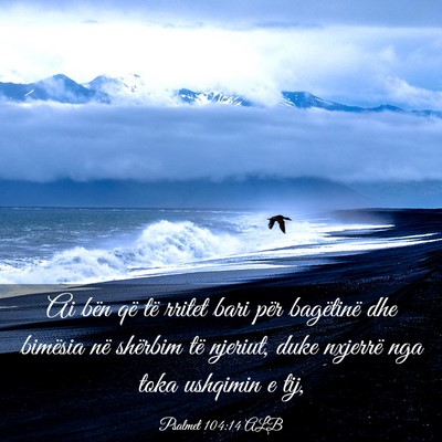 Picture 03 - Psalmet 104:14 ALB - Ai bën që të rritet bari për bagëtinë dhe - Bible Verse Picture