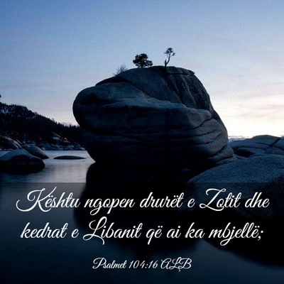Picture 03 - Psalmet 104:16 ALB - Kështu ngopen drurët e Zotit dhe kedrat e - Bible Verse Picture