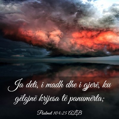 Picture 03 - Psalmet 104:25 ALB - Ja deti, i madh dhe i gjerë, ku gëlojnë - Bible Verse Picture