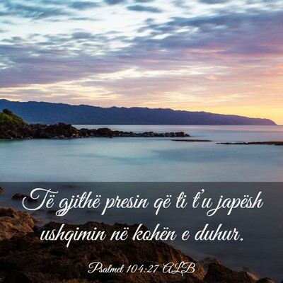 Picture 03 - Psalmet 104:27 ALB - Të gjithë presin që ti t’u japësh ushqimin - Bible Verse Picture