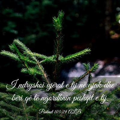 Picture 03 - Psalmet 105:29 ALB - I ndryshoi ujërat e tij në gjak dhe bëri që - Bible Verse Picture