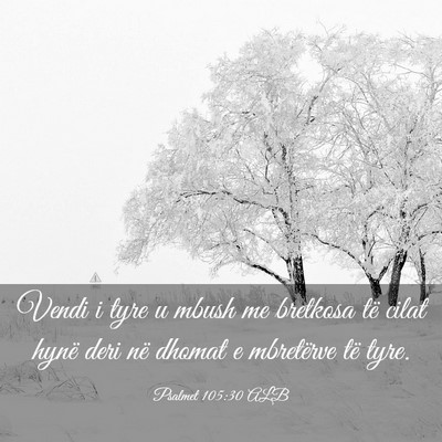 Picture 03 - Psalmet 105:30 ALB - Vendi i tyre u mbush me bretkosa të cilat hynë - Bible Verse Picture