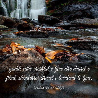 Picture 03 - Psalmet 105:33 ALB - goditi edhe vreshtat e tyre dhe drurët e fikut, - Bible Verse Picture