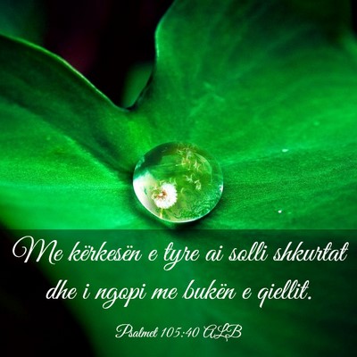 Picture 03 - Psalmet 105:40 ALB - Me kërkesën e tyre ai solli shkurtat dhe i - Bible Verse Picture