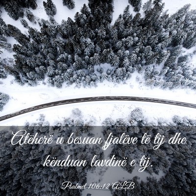 Picture 03 - Psalmet 106:12 ALB - Atëherë u besuan fjalëve të tij dhe kënduan - Bible Verse Picture