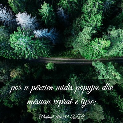 Picture 03 - Psalmet 106:35 ALB - por u përzien midis popujve dhe mësuan veprat e - Bible Verse Picture