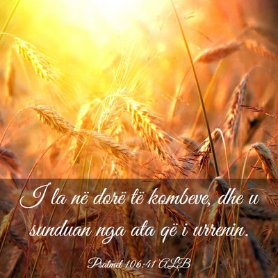Picture 03 - Psalmet 106:41 ALB - I la në dorë të kombeve, dhe u sunduan nga ata - Bible Verse Picture