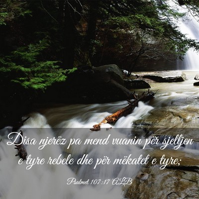 Picture 03 - Psalmet 107:17 ALB - Disa njerëz pa mend vuanin për sjelljen e tyre - Bible Verse Picture