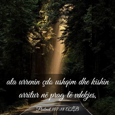 Picture 03 - Psalmet 107:18 ALB - ata urrenin çdo ushqim dhe kishin arritur në - Bible Verse Picture