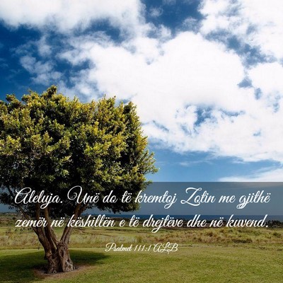 Picture 03 - Psalmet 111:1 ALB - Aleluja. Unë do të kremtoj Zotin me gjithë - Bible Verse Picture