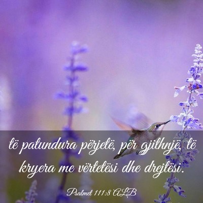 Picture 03 - Psalmet 111:8 ALB - të patundura përjetë, për gjithnjë, të - Bible Verse Picture