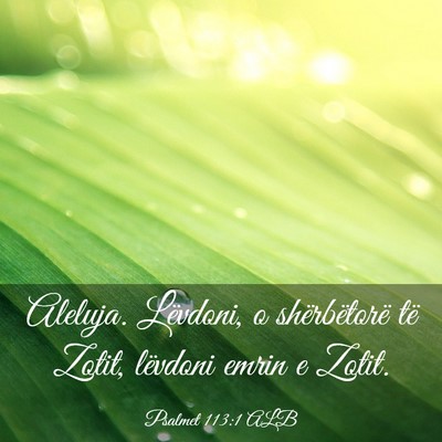 Picture 03 - Psalmet 113:1 ALB - Aleluja. Lëvdoni, o shërbëtorë të Zotit, - Bible Verse Picture