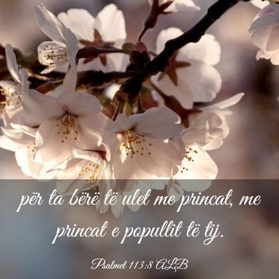 Picture 03 - Psalmet 113:8 ALB - për ta bërë të ulet me princat, me princat e - Bible Verse Picture