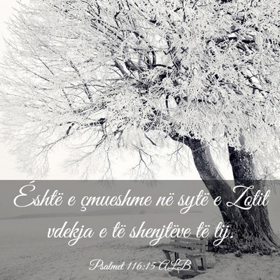 Picture 03 - Psalmet 116:15 ALB - Éshtë e çmueshme në sytë e Zotit vdekja e - Bible Verse Picture