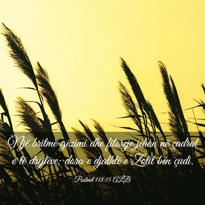 Picture 03 - Psalmet 118:15 ALB - Një britmë gëzimi dhe fitoreje jehon në - Bible Verse Picture