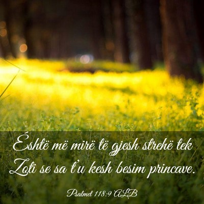 Picture 03 - Psalmet 118:9 ALB - Éshtë më mirë të gjesh strehë tek Zoti se - Bible Verse Picture