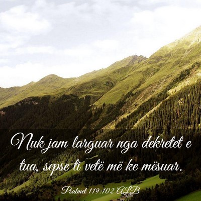Picture 03 - Psalmet 119:102 ALB - Nuk jam larguar nga dekretet e tua, sepse ti - Bible Verse Picture