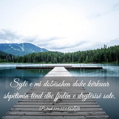 Picture 03 - Psalmet 119:123 ALB - Sytë e mi dobësohen duke kërkuar shpëtimin - Bible Verse Picture