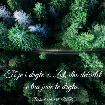 Picture 03 - Psalmet 119:137 ALB - Ti je i drejtë, o Zot, dhe dekretet e tua janë - Bible Verse Picture