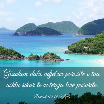 Picture 03 - Psalmet 119:14 ALB - Gëzohem duke ndjekur porositë e tua, ashtu - Bible Verse Picture