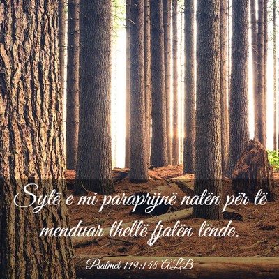 Picture 03 - Psalmet 119:148 ALB - Sytë e mi paraprijnë natën për të menduar - Bible Verse Picture
