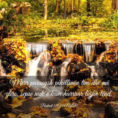 Picture 03 - Psalmet 119:153 ALB - Merr parasysh pikëllimin tim dhe më çliro, - Bible Verse Picture