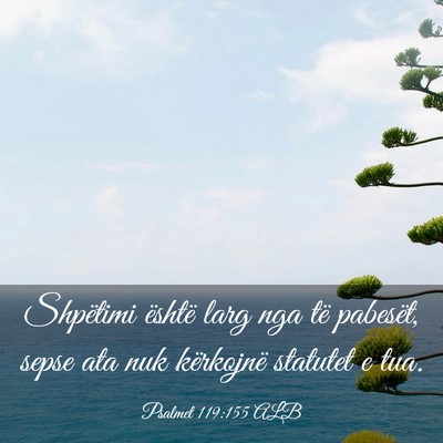 Picture 03 - Psalmet 119:155 ALB - Shpëtimi është larg nga të pabesët, sepse - Bible Verse Picture