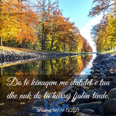 Picture 03 - Psalmet 119:16 ALB - Do të kënaqem me statutet e tua dhe nuk do ta - Bible Verse Picture