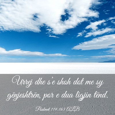 Picture 03 - Psalmet 119:163 ALB - Urrej dhe s’e shoh dot me sy gënjeshtrën, por - Bible Verse Picture