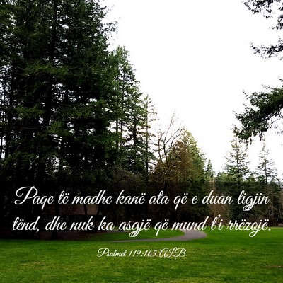 Picture 03 - Psalmet 119:165 ALB - Paqe të madhe kanë ata që e duan ligjin tënd, - Bible Verse Picture