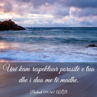 Picture 03 - Psalmet 119:167 ALB - Unë kam respektuar porositë e tua dhe i dua me - Bible Verse Picture