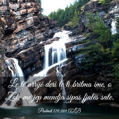 Picture 03 - Psalmet 119:169 ALB - Le të arrijë deri te ti britma ime, o Zot; me - Bible Verse Picture