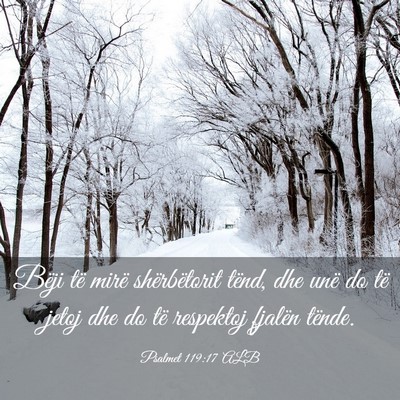 Picture 03 - Psalmet 119:17 ALB - Bëji të mirë shërbëtorit tënd, dhe unë do - Bible Verse Picture
