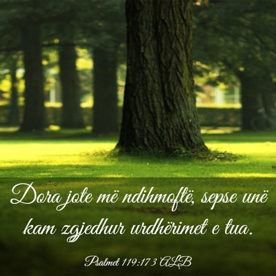 Picture 03 - Psalmet 119:173 ALB - Dora jote më ndihmoftë, sepse unë kam zgjedhur - Bible Verse Picture
