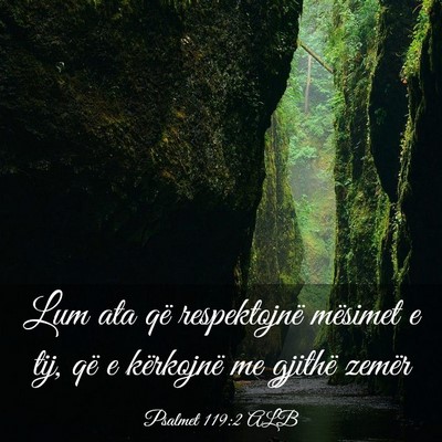 Picture 03 - Psalmet 119:2 ALB - Lum ata që respektojnë mësimet e tij, që e - Bible Verse Picture